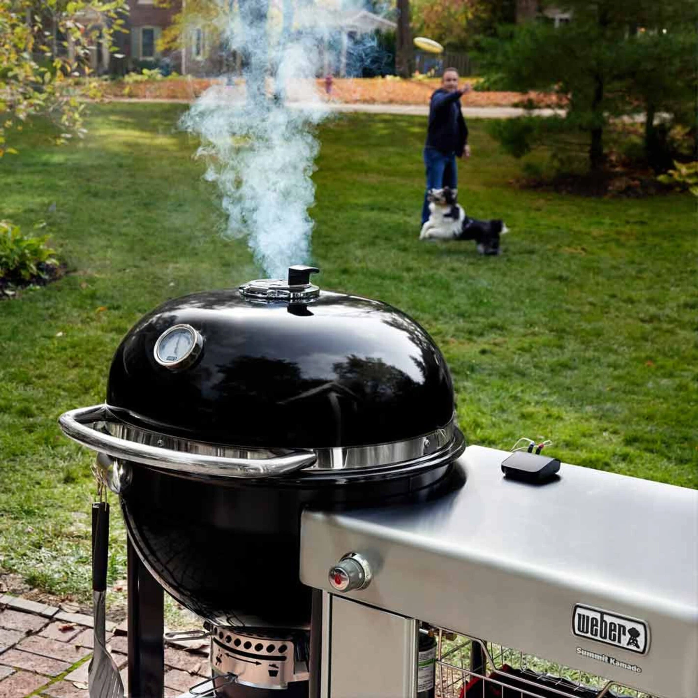 Barbecue Kamado Summit S6 - Weber 10 Barbecue Kamado Summit S6 - Weber – Image 10